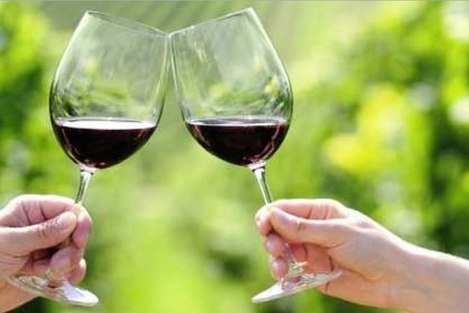 Yarra Valley Premium Tour inc Lunch and Cheese and Wine Pairing at De Bortoli - Sightseeing between the tasting rooms