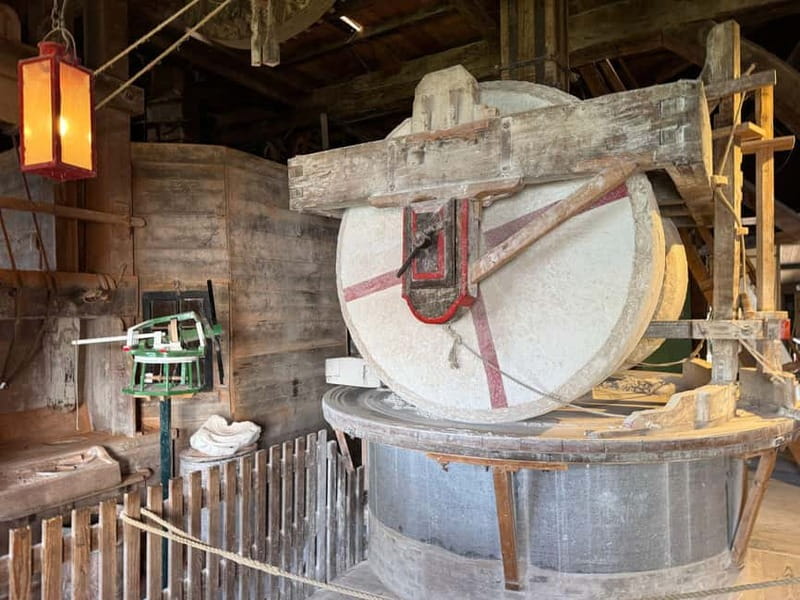 Zaanse Schans & Volendam Private Tour: Windmills and Cheese - Henri Willig cheese: a tasting with a production lesson