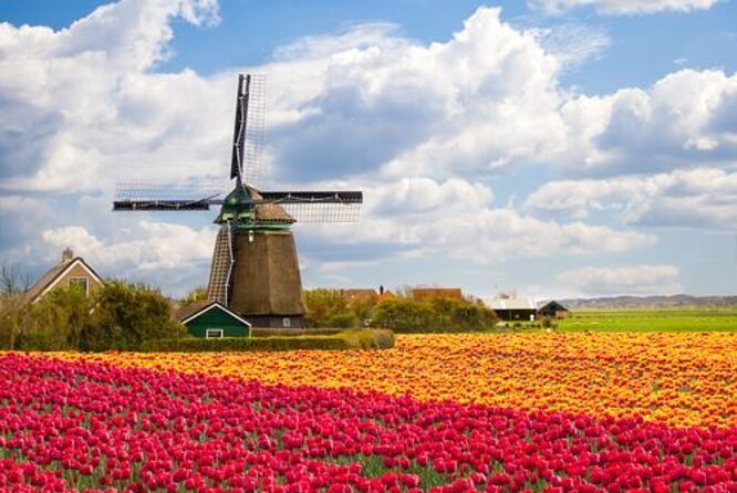 Zaanse Schans Windmills, Clogs and Dutch Cheese Small-Group Tour from Amsterdam - Why Zaanse Schans works as a first Dutch outing