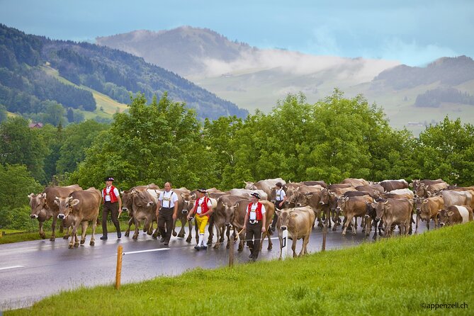 Zurich Open Top Bus, Chocolate and Cheese Factory Tour Appenzell - What $125.66 buys you